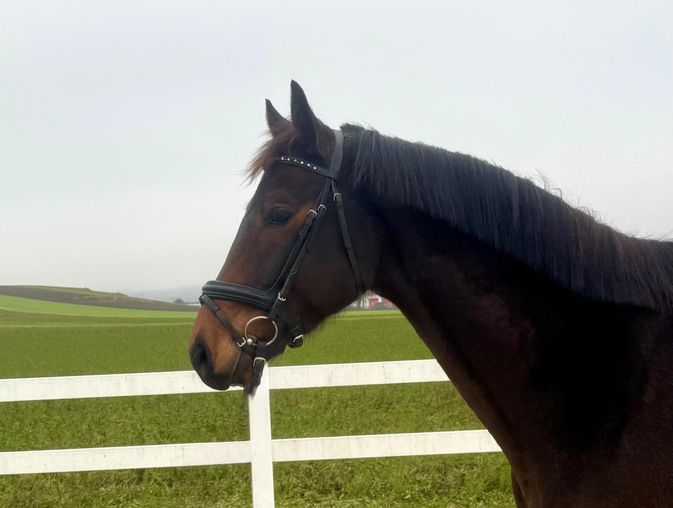 Canterburry